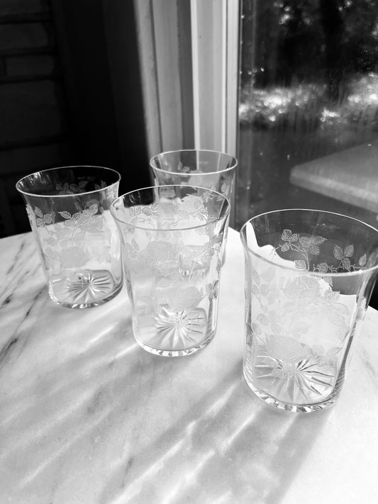 Etched Glassware Tumblers